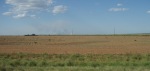 The Hot Flatlands of Texas